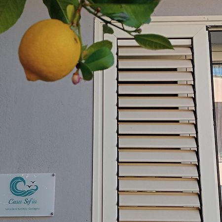 Casa Sofia Daire Tertenìa Dış mekan fotoğraf